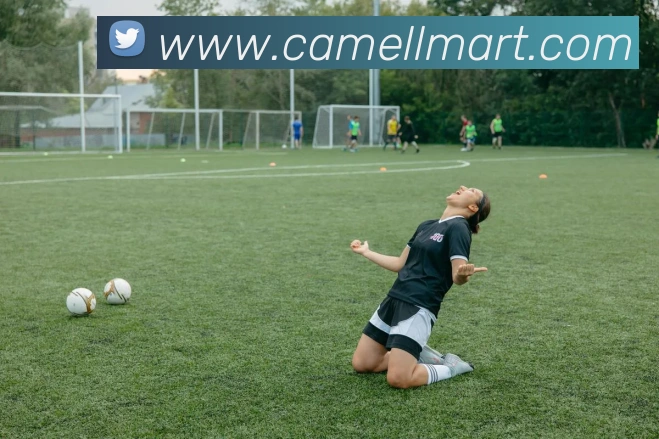 多终端兼容